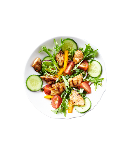 Weight loss and Nutrition training Vision Sports Club