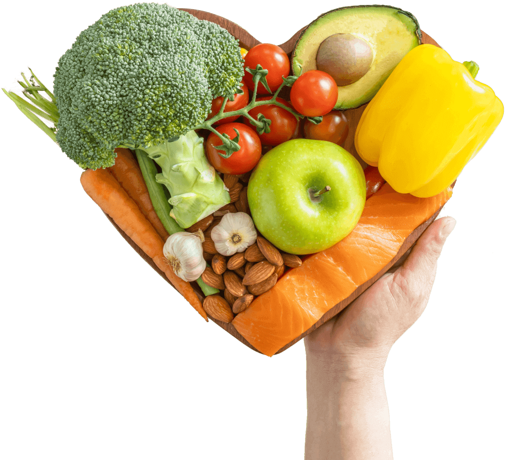 weight loss and nutrition Vision Sports Club