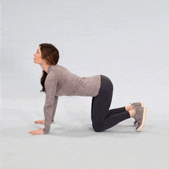 Cat-Cow Stretch