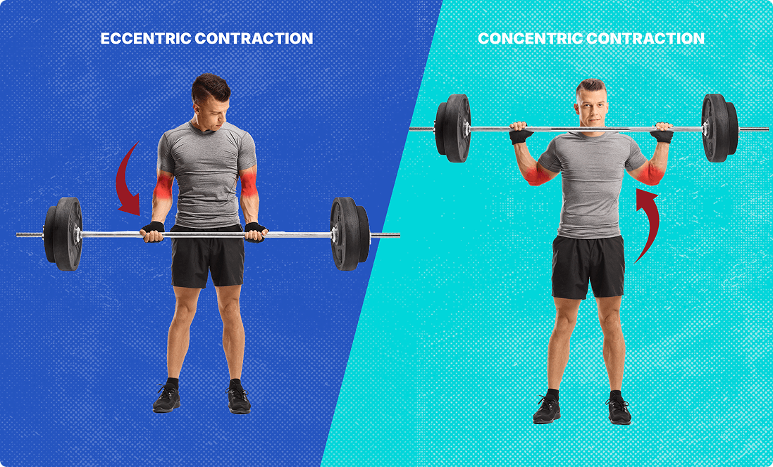 A man showing eccentric vs. concentric contraction at Elite Training at Vision Sports